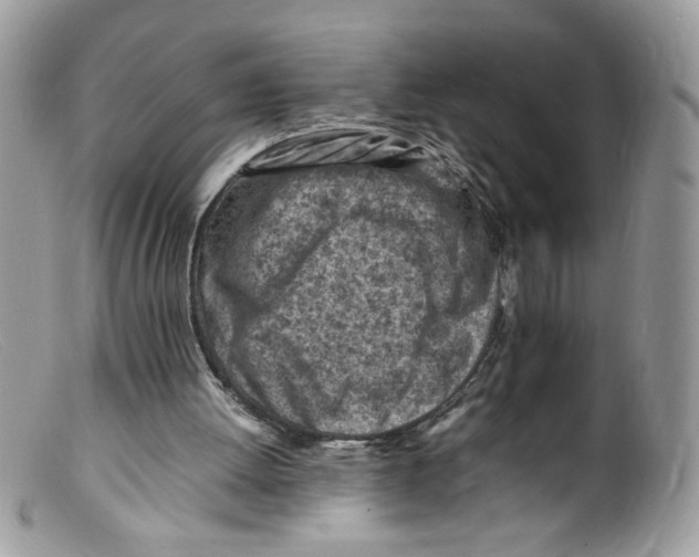 X0000098160052200805151238