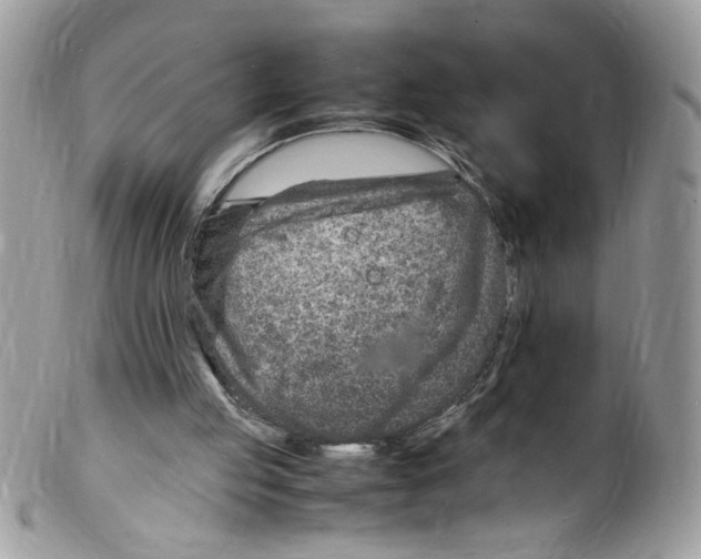 X0000098160053200805151238