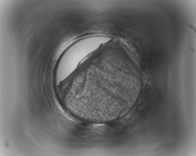 X0000098160055200805151238