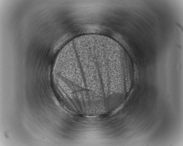 X0000098160058200805151238