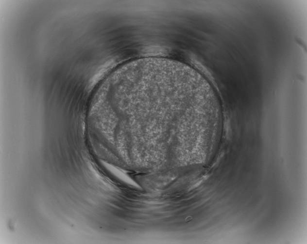 X0000098160059200805151238