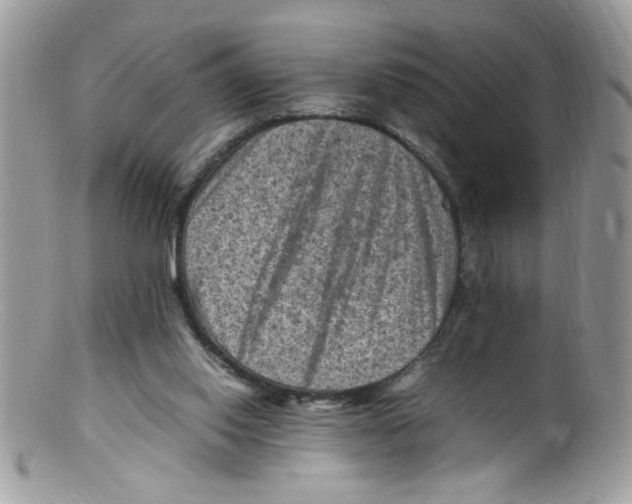 X0000098160062200805151239