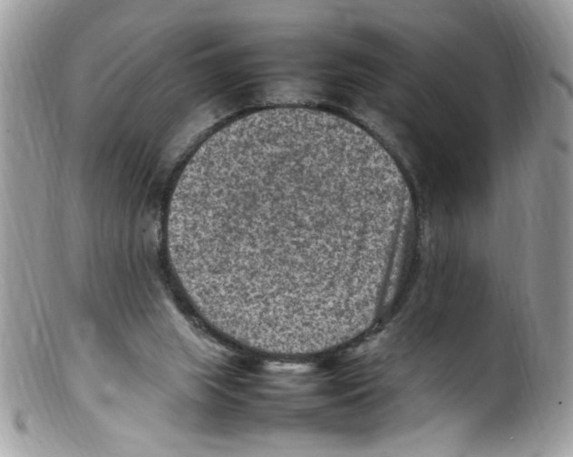 X0000098160063200805151239