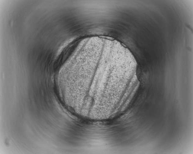 X0000098160064200805151239