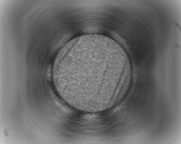 X0000098160065200805151239