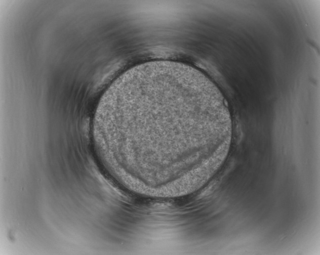 X0000098160066200805151239
