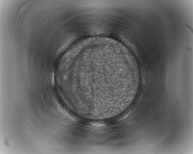 X0000098160067200805151239