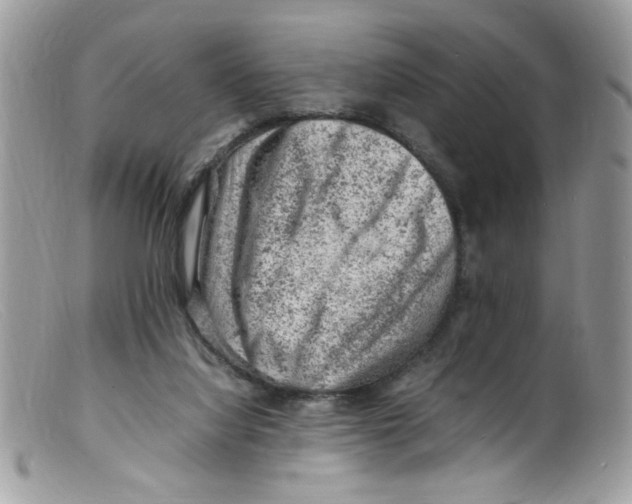 X0000098160068200805151239