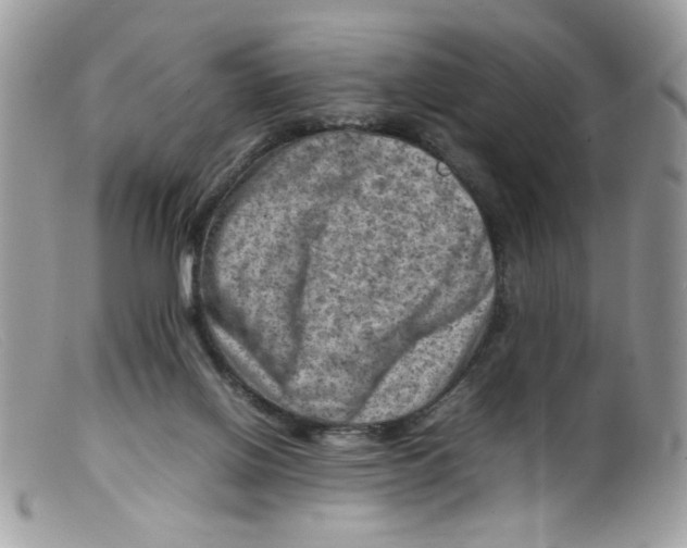 X0000098160070200805151239