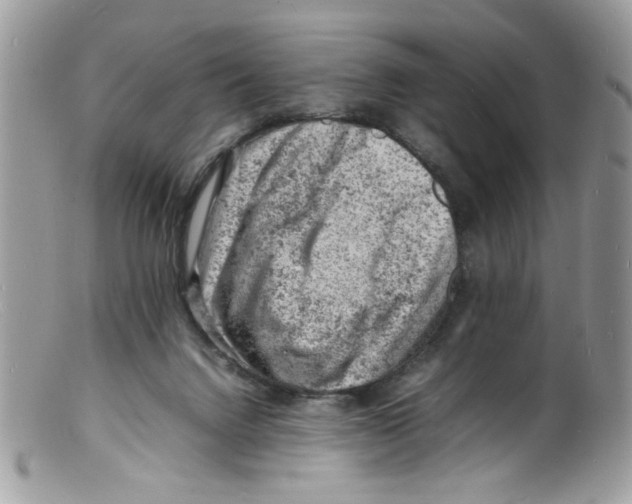 X0000098160072200805151239