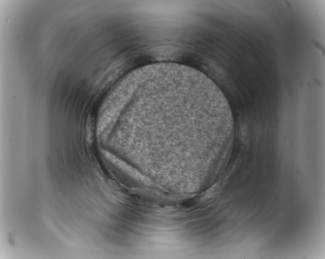 X0000098160074200805151239