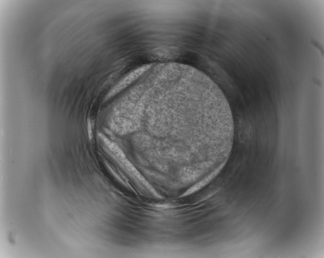 X0000098160075200805151239