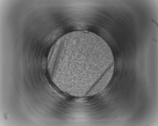 X0000098160078200805151239