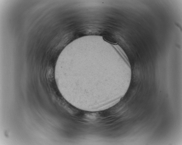 X0000098160079200805151239