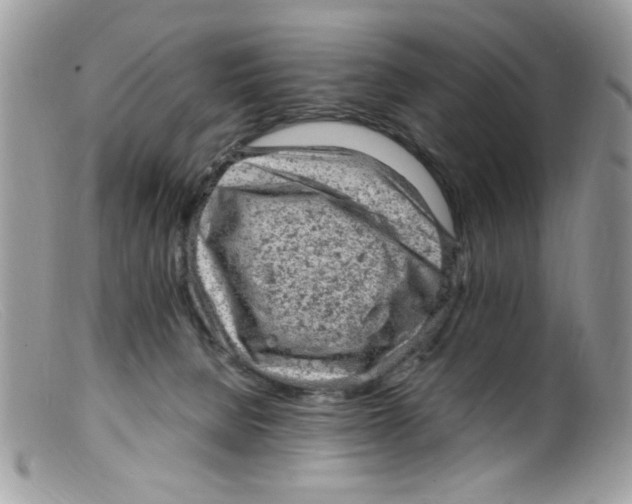 X0000098160080200805151239