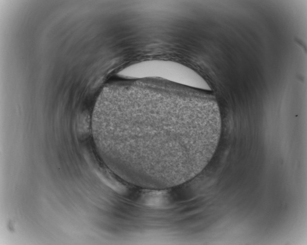 X0000098160081200805151239
