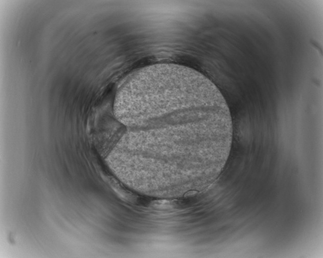 X0000098160082200805151239