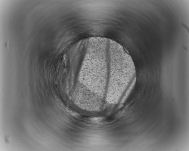 X0000098160084200805151239