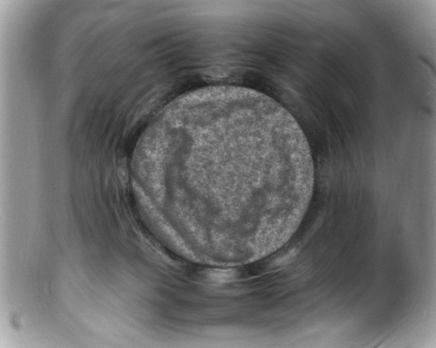 X0000098160085200805151239