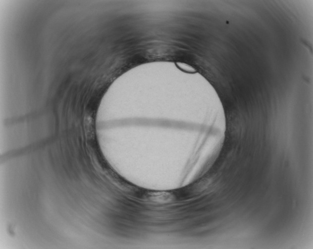 X0000098160087200805151239