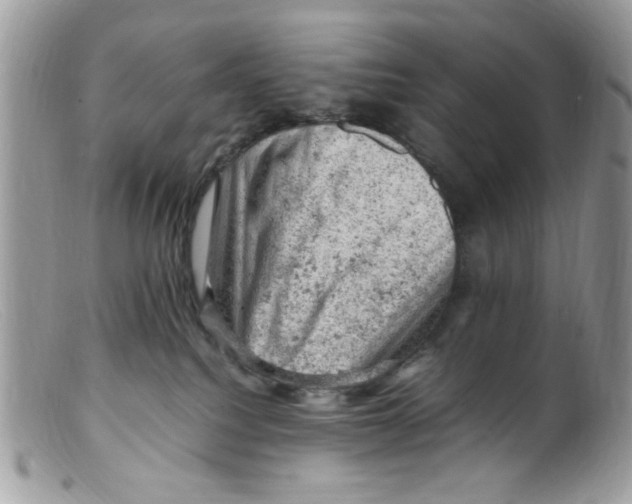 X0000098160088200805151239