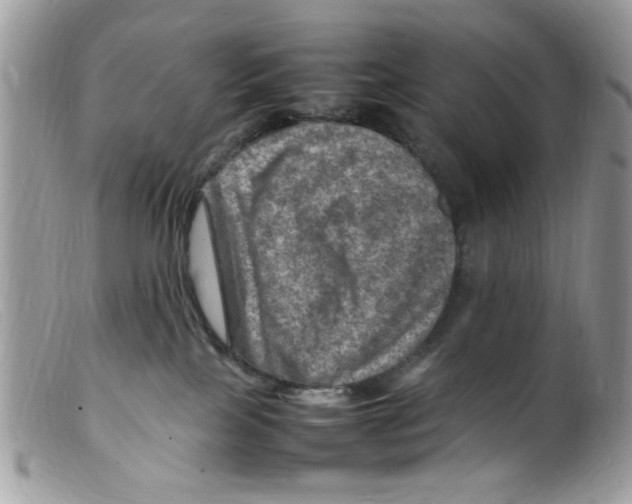 X0000098160089200805151239