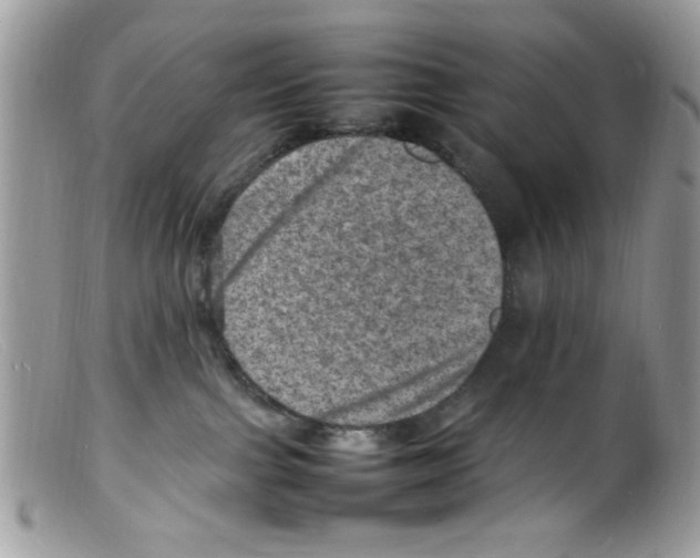 X0000098160091200805151239