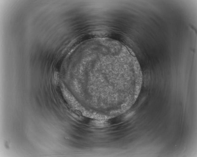 X0000098160093200805151239