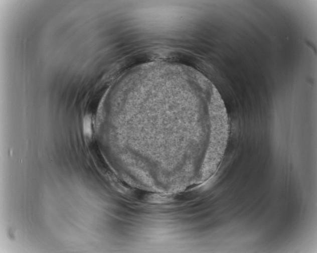 X0000098160094200805151239