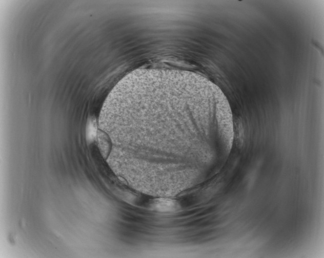 X0000098160095200805151239