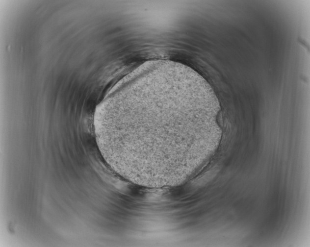 X0000098160096200805151239