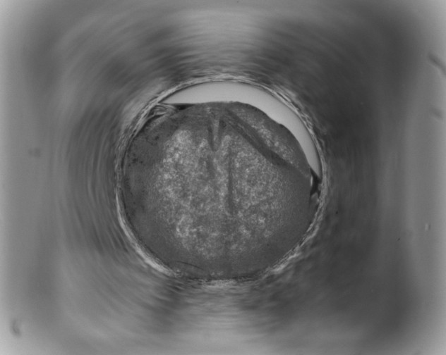 X0000098160097200805151238