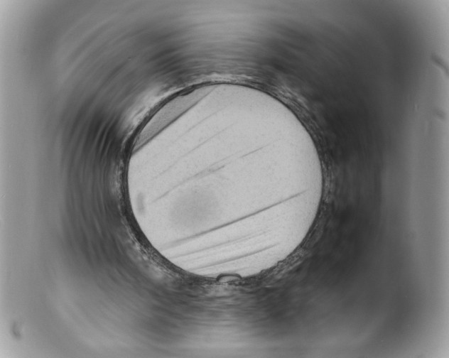 X0000098160098200805151238