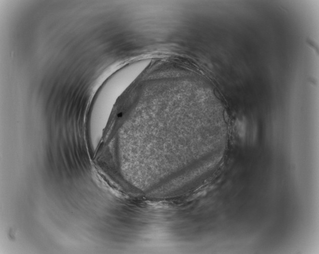 X0000098160100200805151238