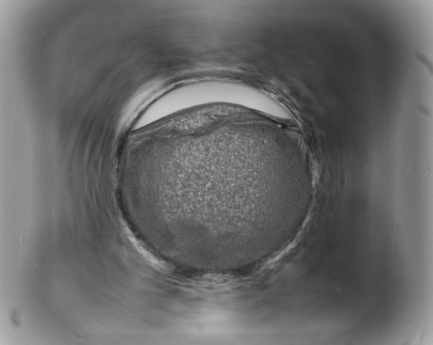 X0000098160101200805151238