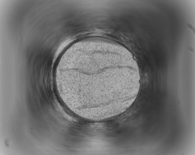 X0000098160102200805151238