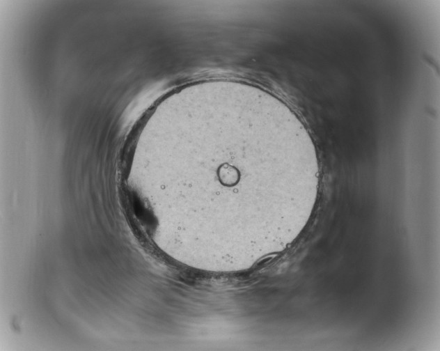 X0000098160103200805151238