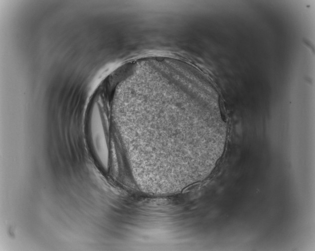 X0000098160104200805151238