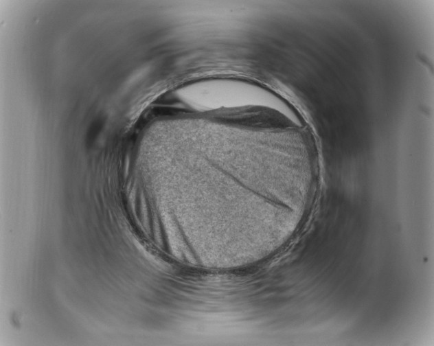 X0000098160105200805151238