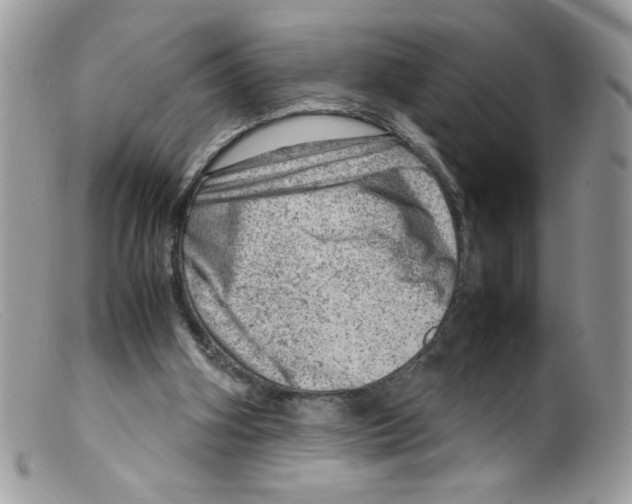 X0000098160106200805151238