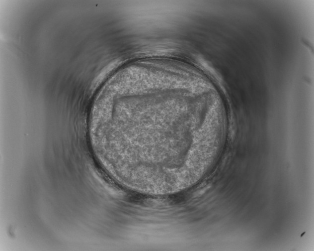 X0000098160107200805151238
