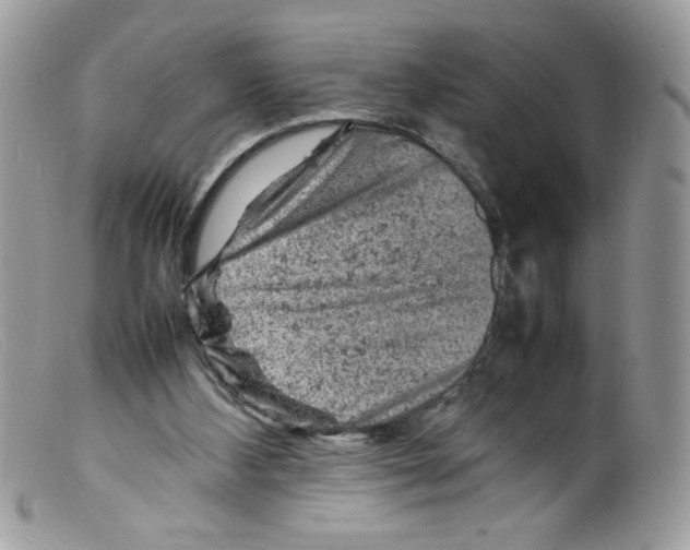 X0000098160108200805151238