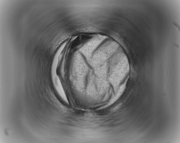X0000098160109200805151238
