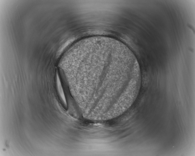 X0000098160111200805151238