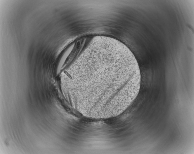 X0000098160112200805151238