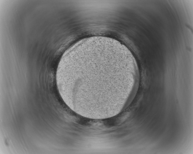 X0000098160113200805151238
