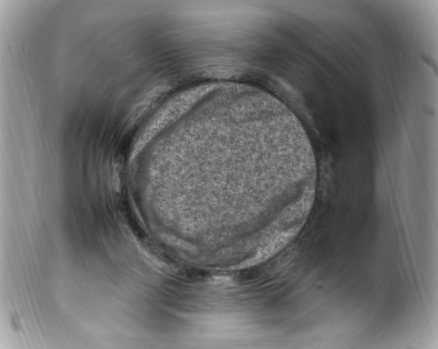 X0000098160114200805151238