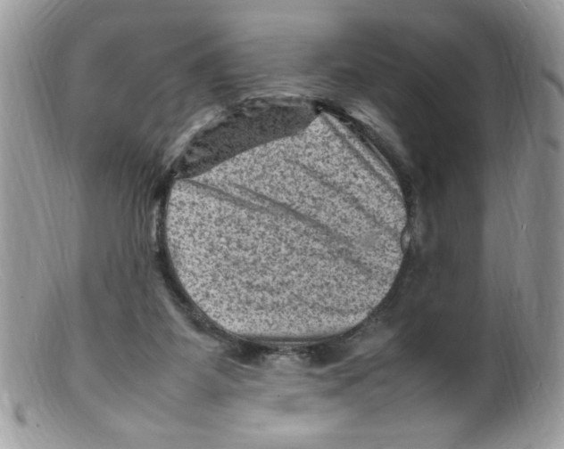X0000098160115200805151238
