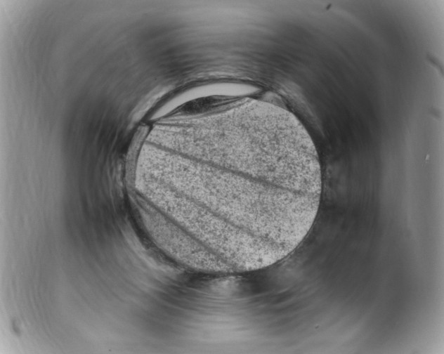 X0000098160116200805151238