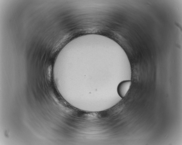 X0000098160118200805151238